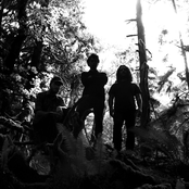 Wolves In The Throne Room - List pictures