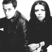 Curve - List pictures