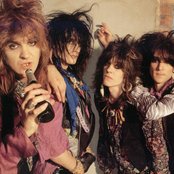 Dogs Damour - List pictures