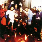 Wu-tang - List pictures