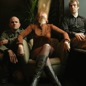 The Tiny - List pictures