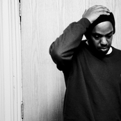 Shad - List pictures