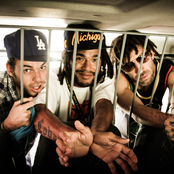 Conecrewdiretoria - List pictures