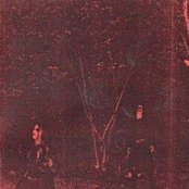 Unpure - List pictures