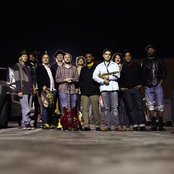 The Lions - List pictures