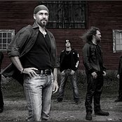 Falconer - List pictures