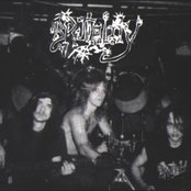 Brutality - List pictures