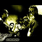 Digital Summer - List pictures