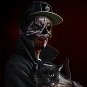 Salmo - List pictures