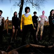 The Long Blondes - List pictures