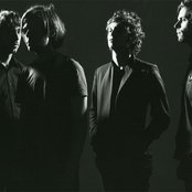 The Stills - List pictures