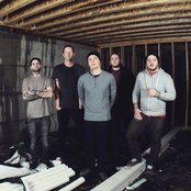 Defeat The Low - List pictures