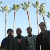 Open Hand - List pictures