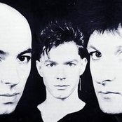 Shriekback - List pictures