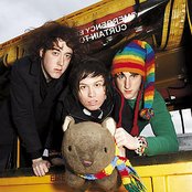 Wombats - List pictures