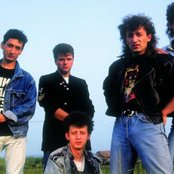 Prljavo Kazaliste - List pictures