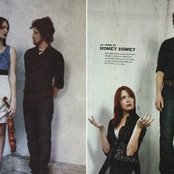 Honeyhoney - List pictures