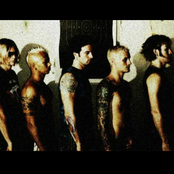 Skrape - List pictures