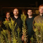 I Love You But I've Chosen Darkness - List pictures