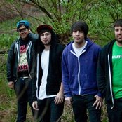 Like Pacific - List pictures