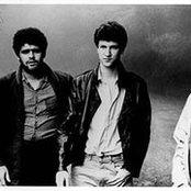 Plebe Rude - List pictures