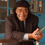James Cotton - List pictures