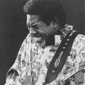 Luther Allison - List pictures