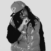 Frenchie - List pictures