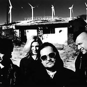 Tito & Tarantula - List pictures