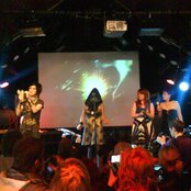 The Deer Tracks - List pictures