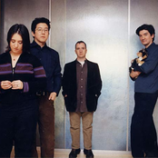 The Magnetic Fields - List pictures