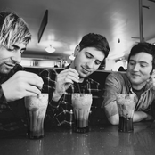 Paws - List pictures