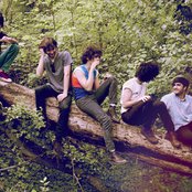 Polock - List pictures