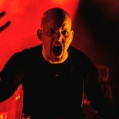 Tulus - List pictures