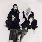 Leonardo's Bride - List pictures