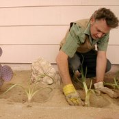 Mark Olson - List pictures