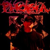 Phobia - List pictures