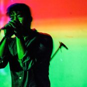 Blackbird Blackbird - List pictures