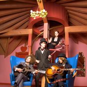 Dandy Warhols - List pictures