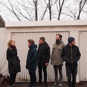 Vena - List pictures