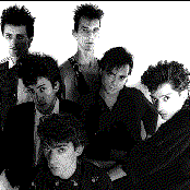 Virus - List pictures