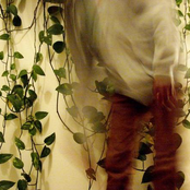 Teebs - List pictures