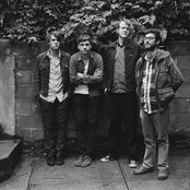 Woods - List pictures