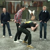 Violens - List pictures