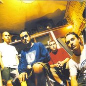 Diesel - List pictures