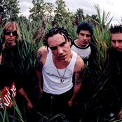 Zug Izland - List pictures