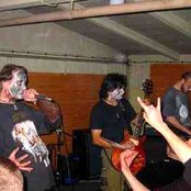 Forest - List pictures