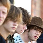 The Coral - List pictures