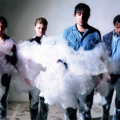 Grizzly Bear - List pictures