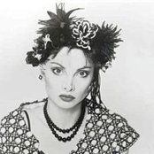 Toni Basil - List pictures